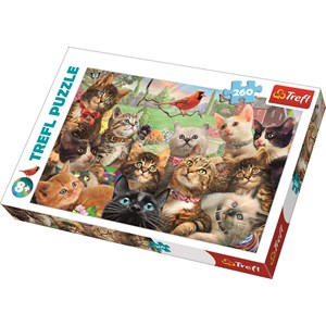 Trefl (260) - "Kittens" - 260 Teile Puzzle