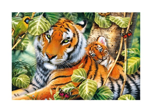 Trefl (26159) - "Zwei Tiger" - 1500 Teile Puzzle