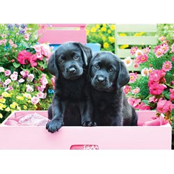 Eurographics (8500-5462) - "Black Labs in Pink Box" - 500 Teile Puzzle