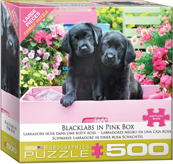Eurographics (8500-5462) - "Black Labs in Pink Box" - 500 Teile Puzzle