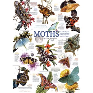 Cobble Hill (80016) - Carl Brenders: "Moth Collection" - 1000 Teile Puzzle