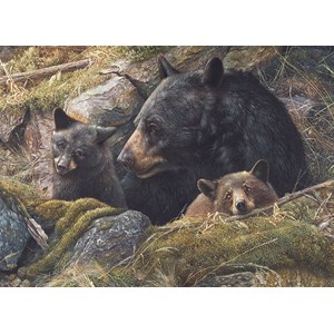 Cobble Hill (80012) - "Twice the Love" - 1000 Teile Puzzle
