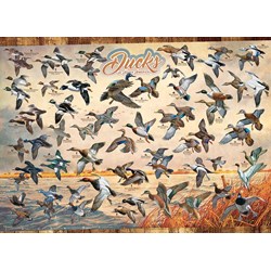 Cobble Hill (80263) - David A. Maass: "Ducks of North America" - 1000 Teile Puzzle