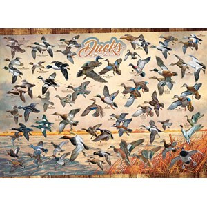 Cobble Hill (80263) - David A. Maass: "Ducks of North America" - 1000 Teile Puzzle