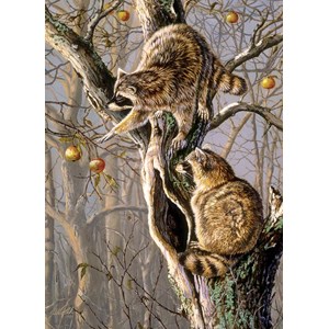 Cobble Hill (80192) - "Ringtail Raiders" - 1000 Teile Puzzle