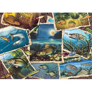 Cobble Hill (80209) - Jon Q. Wright: "Fish Pics" - 1000 Teile Puzzle