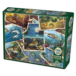Cobble Hill (80209) - Jon Q. Wright: "Fish Pics" - 1000 Teile Puzzle