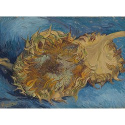 Grafika - Vincent van Gogh: "Sunflowers, 1887" - 2000 Teile Puzzle