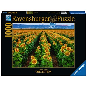 Ravensburger (15288) - Susan Taylor: "Feld von Sonnenblumen" - 1000 Teile Puzzle