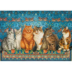 Castorland (B-53469) - "Cat Aristocracy" - 500 Teile Puzzle