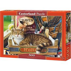 Castorland (B-53476) - "Fothergill" - 500 Teile Puzzle