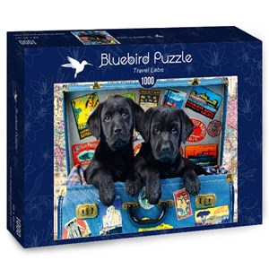Bluebird Puzzle (70328) - Greg Cuddiford: "Travel Labs" - 1000 Teile Puzzle