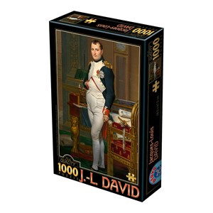 D-Toys (75000) - Jacques-Louis David: "The Emperor Napoleon in his study at the Tuileries, 1812" - 1000 Teile Puzzle