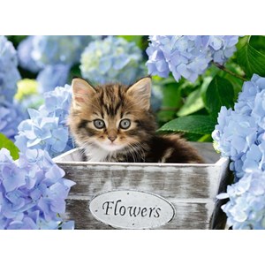 Ravensburger (12894) - "Kleine Katze" - 300 Teile Puzzle