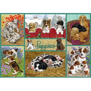 Falcon (11219) - Sarah Adams: "Happy Puppies" - 500 Teile Puzzle