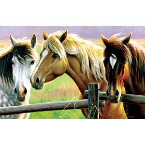 SunsOut (70922) - Cynthie Fisher: "Horse Fence" - 1000 Teile Puzzle