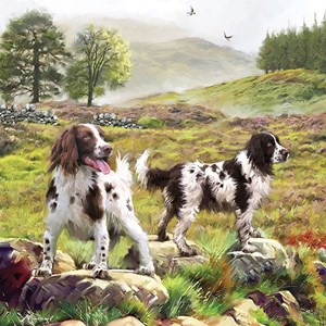 Otter House Puzzle (74132) - "Spaniels On The Moor" - 1000 Teile Puzzle
