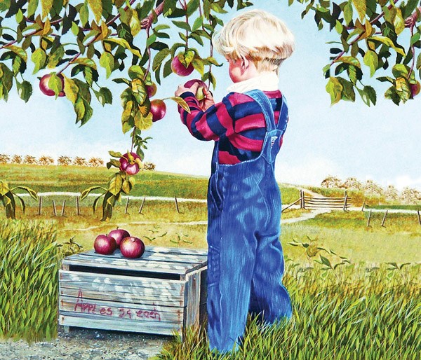 SunsOut (26282) - Patricia Bourque: "Apple Picking" - 550 Teile Puzzle