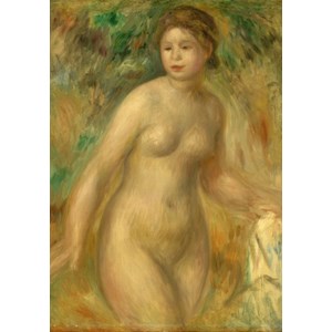 Grafika (01875) - Pierre-Auguste Renoir: "Nude, 1895" - 1000 Teile Puzzle