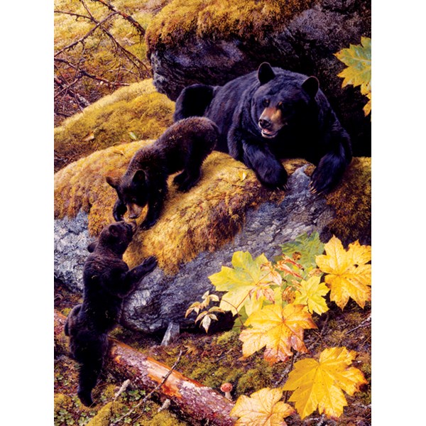 SunsOut (59018) - Carl Brenders: "Nosing Around" - 1000 Teile Puzzle