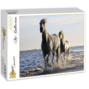 Grafika (01693) - "Pferde" - 1000 Teile Puzzle