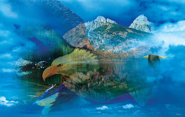 SunsOut (50777) - Gordon Semmens: "Eagle Dreamscape" - 550 Teile Puzzle