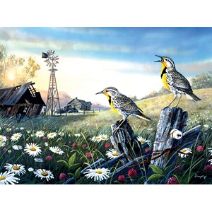 SunsOut (71131) - Terry Doughty: "Meadow Outpost" - 1000 Teile Puzzle