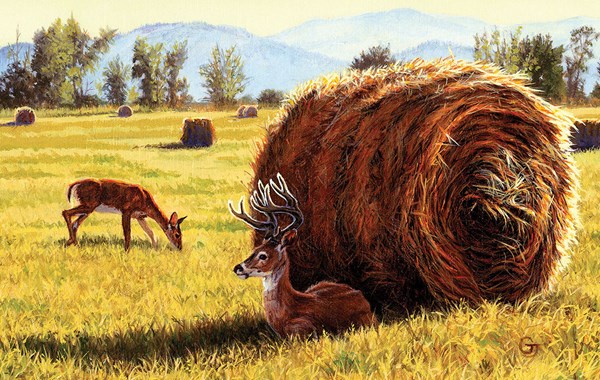 SunsOut (17462) - Gary Johnson: "Made in the Shade" - 550 Teile Puzzle