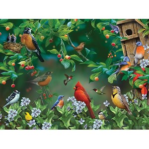 SunsOut (49054) - Jerry Gadamus: "Bird Festival" - 1000 Teile Puzzle