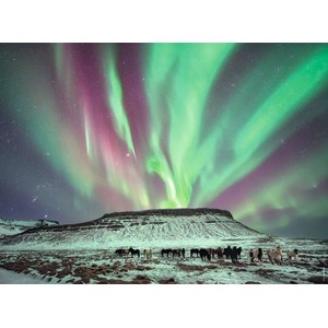 Ravensburger (89489) - "Aurore Boreale" - 500 Teile Puzzle