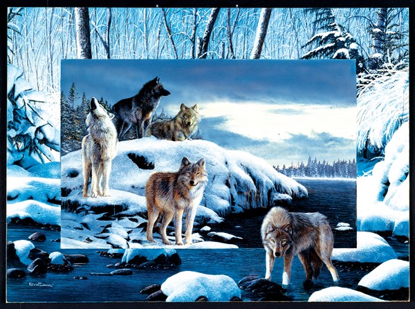 SunsOut (55763) - Kevin Daniel: "Ice Wolves" - 1000 Teile Puzzle