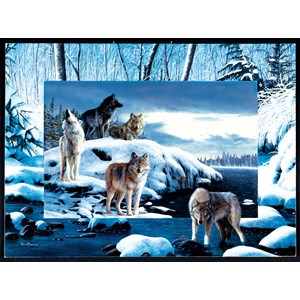 SunsOut (55763) - Kevin Daniel: "Ice Wolves" - 1000 Teile Puzzle