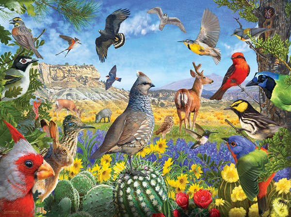SunsOut (70939) - R. Christopher Vest: "Texas Birds" - 1000 Teile Puzzle