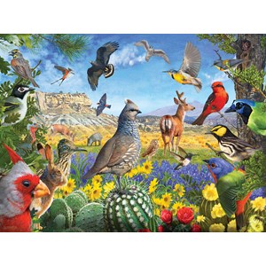 SunsOut (70939) - R. Christopher Vest: "Texas Birds" - 1000 Teile Puzzle