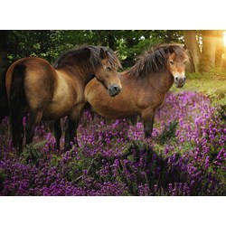 Ravensburger (14813) - "Ponys in der Heide" - 500 Teile Puzzle