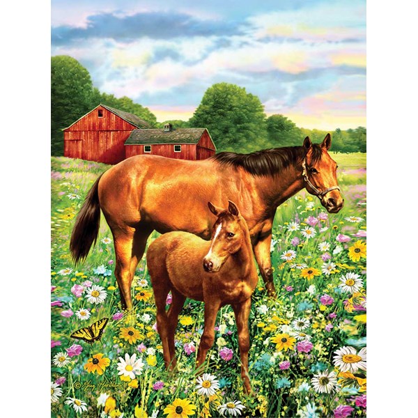 SunsOut (37174) - Greg Giordano: "Mare and Foal" - 500 Teile Puzzle