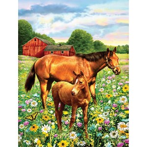 SunsOut (37174) - Greg Giordano: "Mare and Foal" - 500 Teile Puzzle
