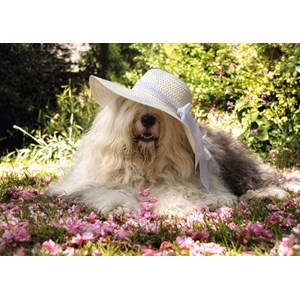 Jumbo (18515) - "Sophie der Hund" - 200 Teile Puzzle