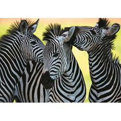 Dino (50226) - "3 Zebras" - 500 Teile Puzzle