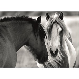 Dino (53261) - "Black and White Horses" - 1000 Teile Puzzle