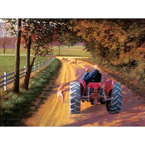 SunsOut (50161) - "A Ride Down Memory Lane" - 1000 Teile Puzzle