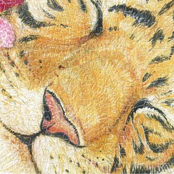 Pintoo (h2146) - Cotton Lion: "Goodnight Tiger" - 1000 Teile Puzzle