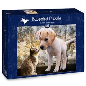 Bluebird Puzzle (70004) - "Kitten and Puppy" - 500 Teile Puzzle