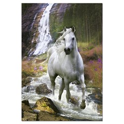 Educa (15509) - "Freedom" - 500 Teile Puzzle