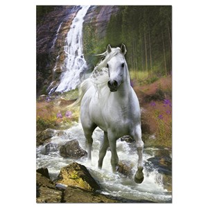 Educa (15509) - "Freedom" - 500 Teile Puzzle