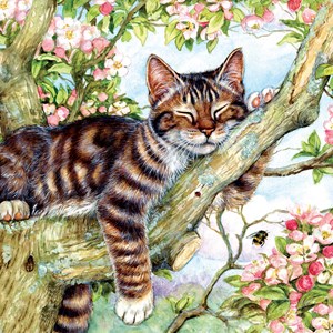SunsOut (50423) - Debbie Cook: "Sleepy Cat" - 500 Teile Puzzle