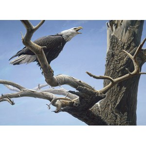 Cobble Hill (85059) - Robert Bateman: "Call of the Wild" - 500 Teile Puzzle