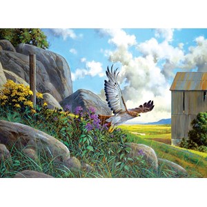 Cobble Hill (85064) - Douglas Laird: "Take Off" - 500 Teile Puzzle