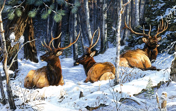 King International (71236) - Terry Doughty: "Full House Three Kings Two Jacks" - 550 Teile Puzzle