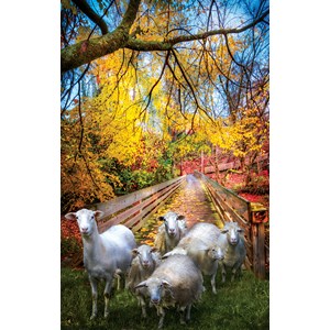SunsOut (30136) - Celebrate Life Gallery: "Sheep Crossing" - 550 Teile Puzzle